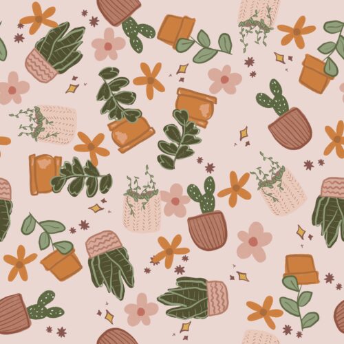 Terracotta Plant Pots