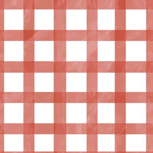 Coral Gingham Check