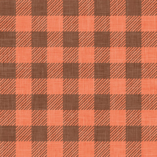 Krystal Winn - Alaska Lumberjack Flannel Salmon