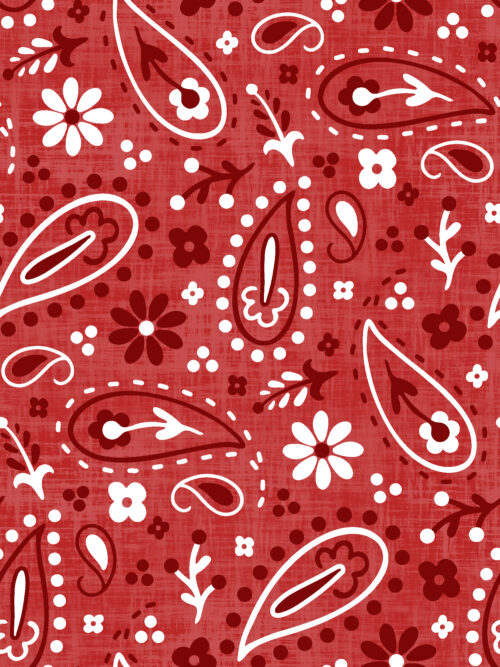 Krystal Winn - All American Cowboy Bandana Red