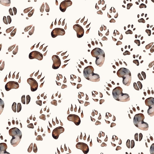 Hip Kid Design - Animal Tracks Woodland