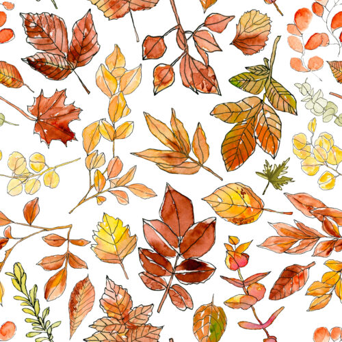 Hip Kid Design - Autumn Fall Leaves