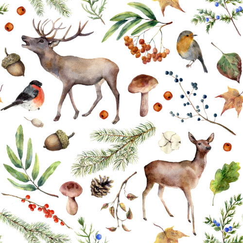 Hip Kid Design - Autumn Woods