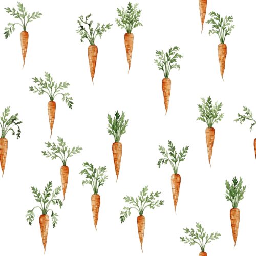 Vanya Minimalist Designs - Bonus Carrots Without Speckles