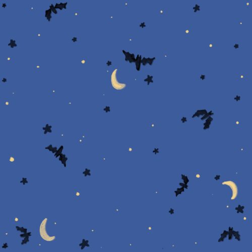 Lindsay Anne - Bat Filled Sky   Twilight Sky