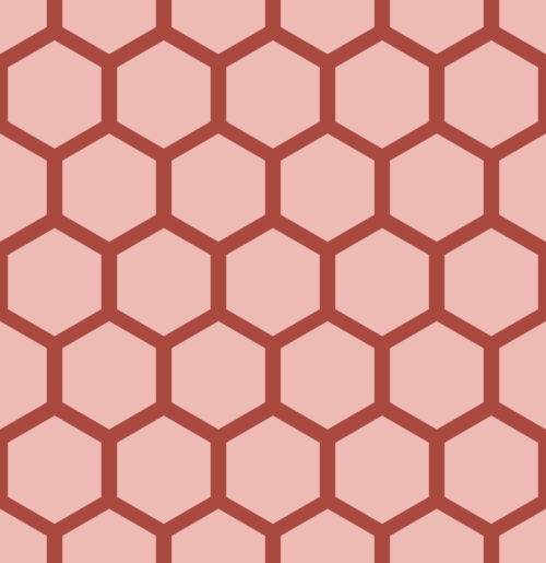 Krystal Winn - Bee Mine Honeycomb Pink