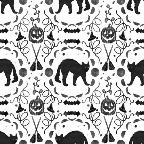 Lindsay Anne - Black Cats Prowl