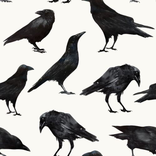 Hip Kid Design - Black Crows