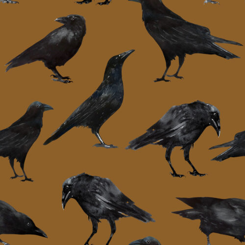Hip Kid Design - Black Crows Copper