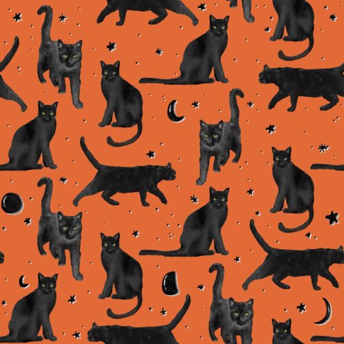 Lindsay Anne - Black Cats Prowl   Jack O Lantern Orange