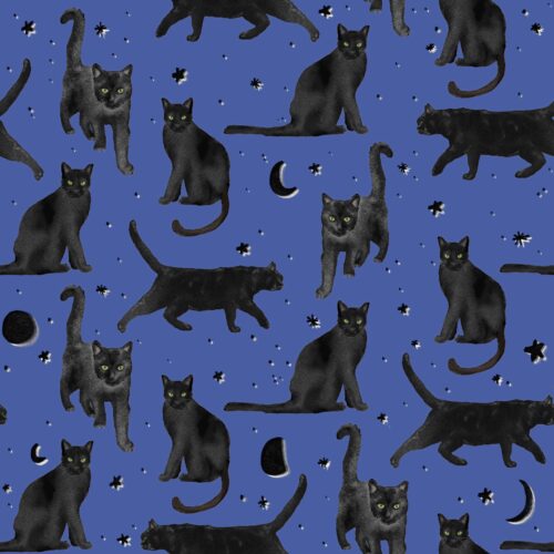 Lindsay Anne - Black Cats Prowl   Twilight Sky