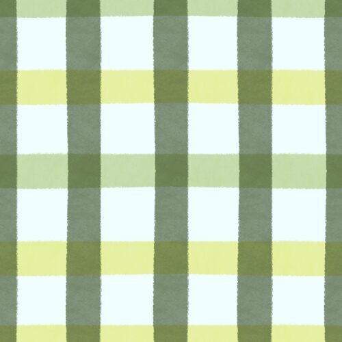 Lindsay Anne - Blue Sky And Veggies Plaid