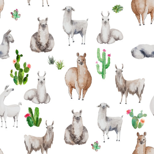 Hip Kid Design - Bohemian Llamas with Succulents