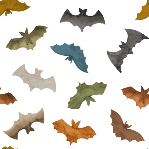 Hip Kid Design - Boho Bats