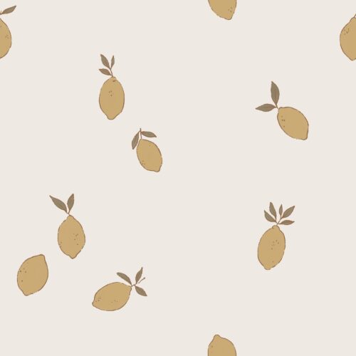 Vanya Minimalist Designs - Boho Lemons