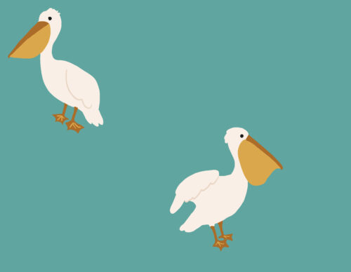 Indy Bloom Designs - Boho Pelicans 4x3