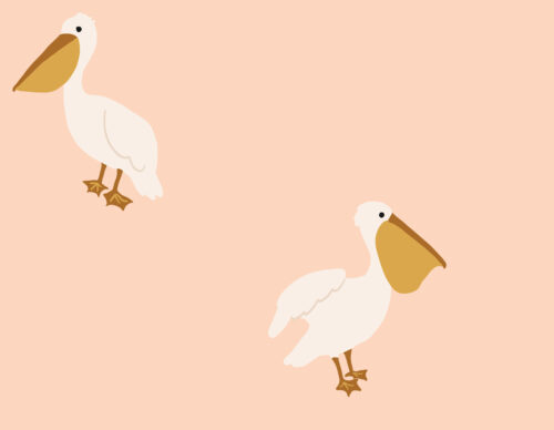 Indy Bloom Designs - Boho Pelicans In Blush 4x3