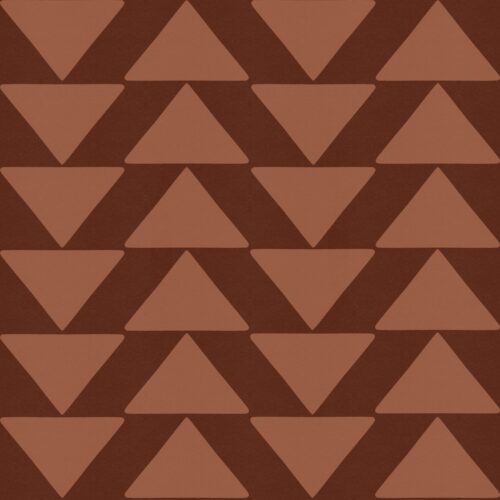 Casey Gowers - Boho Rust Coord