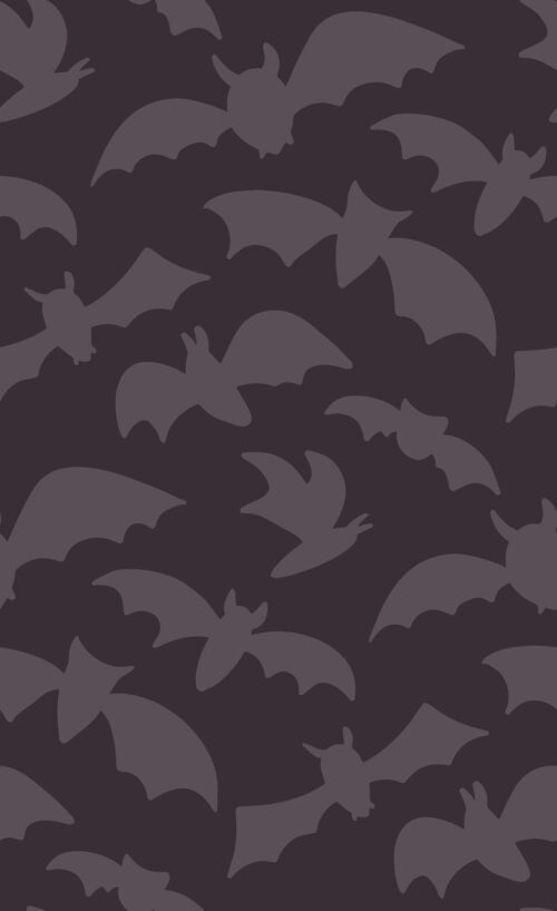 Krystal Winn - Booojee Shadow Bats Black