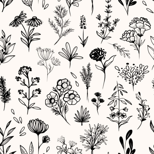 Hip Kid Design - Botanical Nature Flowers Black
