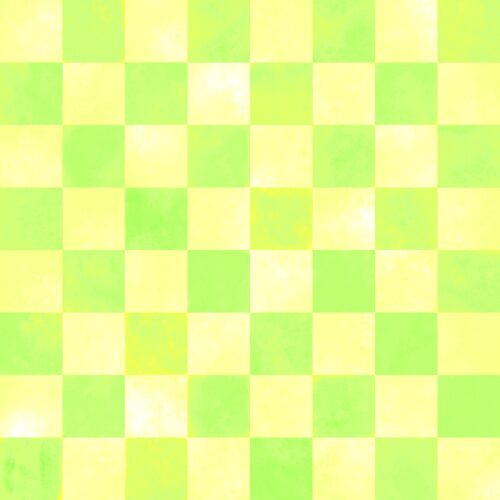 Lindsay Anne - Bright Yellow And Lime Check