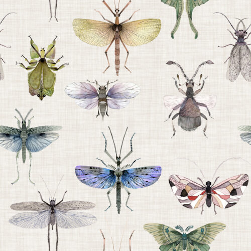 Hip Kid Design - Bug Hunting