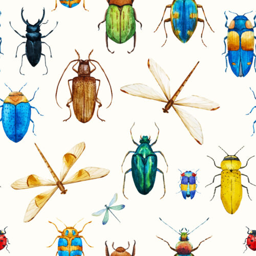 Hip Kid Design - Bugs in Insects on Off White