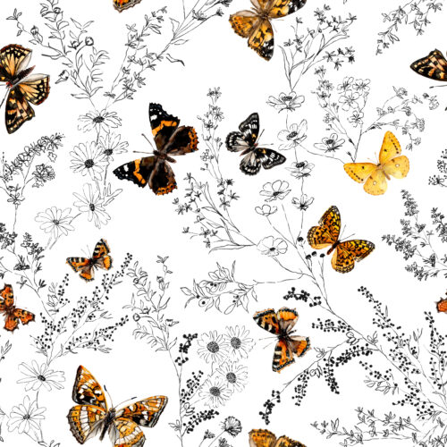 Hip Kid Design - Butterfly Botanical Garden