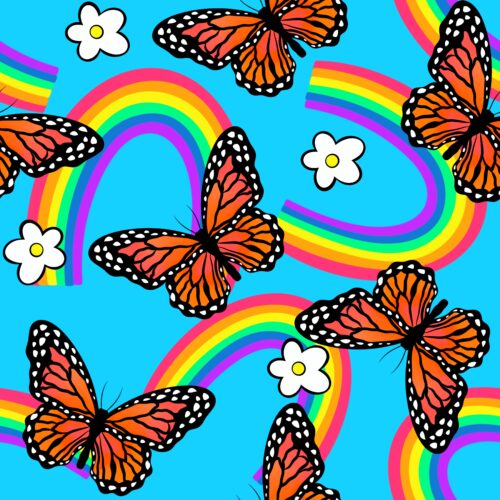Casey Gowers - Butterfly Rainbows