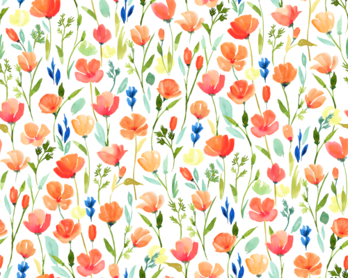 Sara Swanson - California Poppy