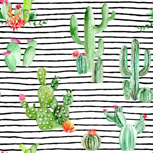Hip Kid Design - Cactus and Succulents on Black and White Stripes