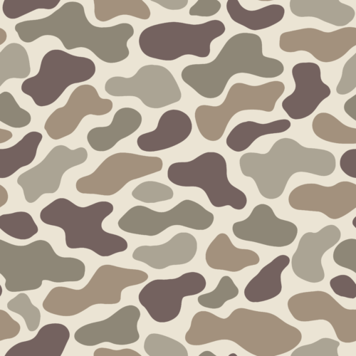 Camo 1