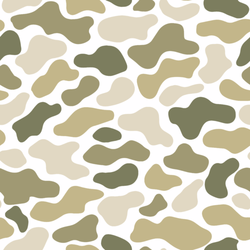 Camo 2