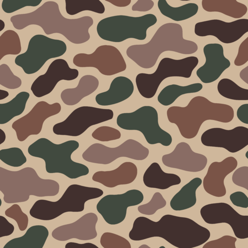 Camo 4
