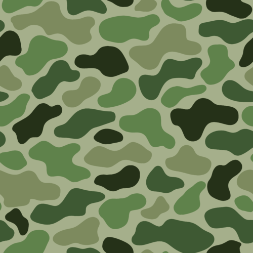 Camo 6