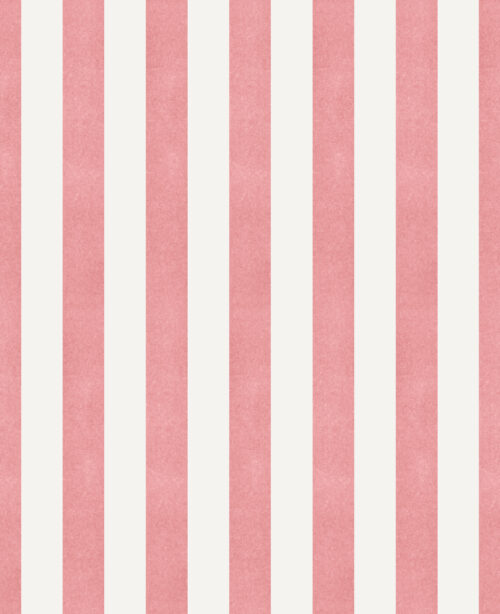Krystal Winn - Carousel Stripe Pink