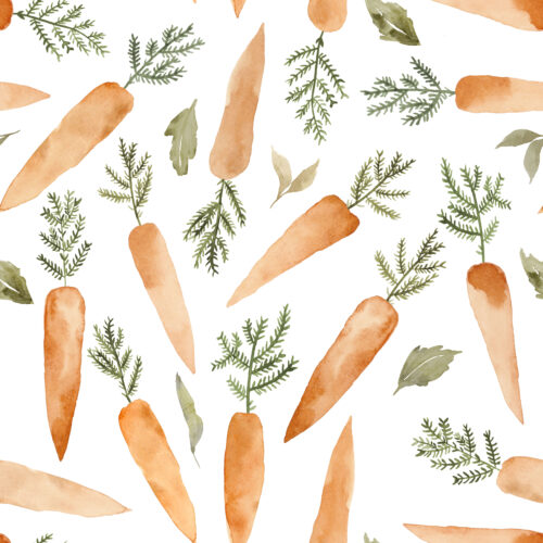 Hip Kid Design - Carrot Garden