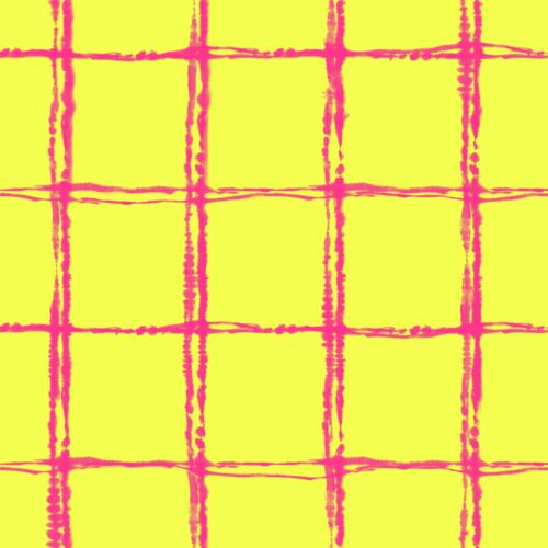 Lindsay Anne - Chordednetyellowrasp