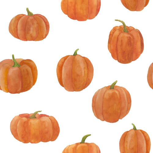Hip Kid Design - Classic Pumpkins