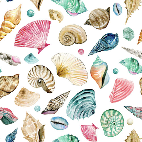 Hip Kid Design - Coastal Sea Shells and Pearls