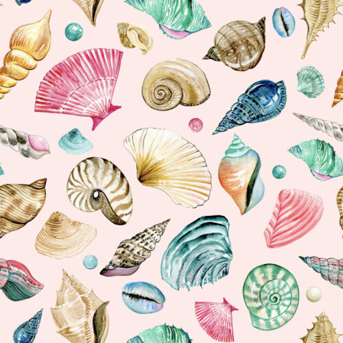 Hip Kid Design - Coastal Sea Shells and Pearls on Light Blush
