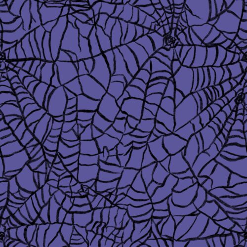 Lindsay Anne - Cobweb Purple Black