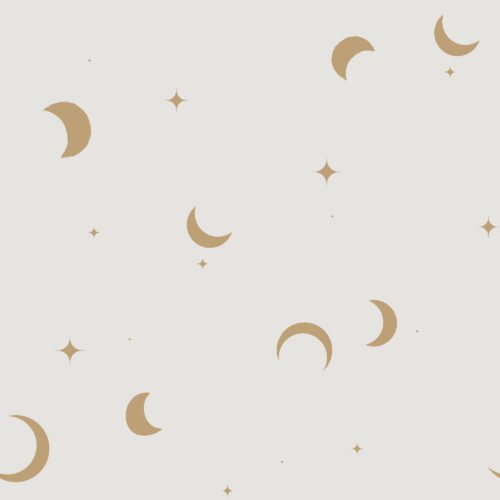 Vanya Minimalist Designs - Crescent Moon 02
