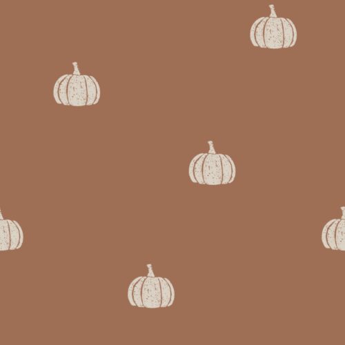 Vanya Minimalist Designs - Crunchy Pumpkin 01