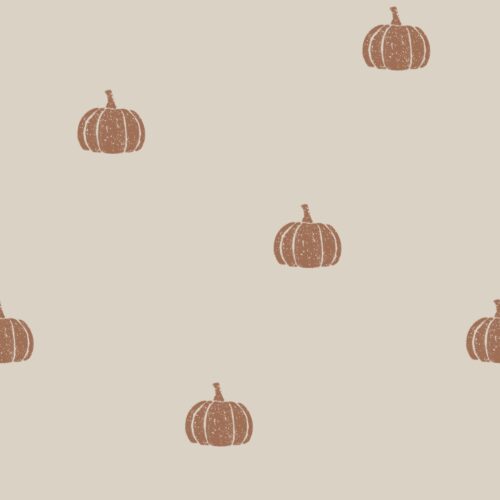 Vanya Minimalist Designs - Crunchy Pumpkin 02