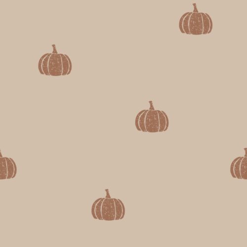 Vanya Minimalist Designs - Crunchy Pumpkin 03