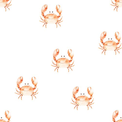 Vanya Minimalist Designs - Cute Crab