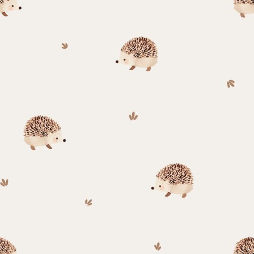 Vanya Minimalist Designs - Cute Hedgehog 01