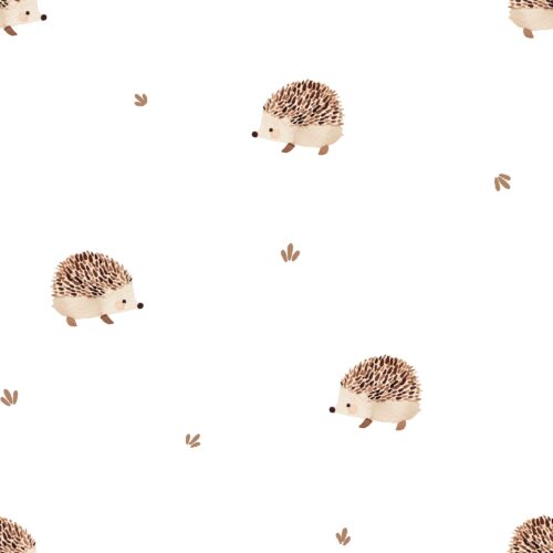 Vanya Minimalist Designs - Cute Hedgehog 02