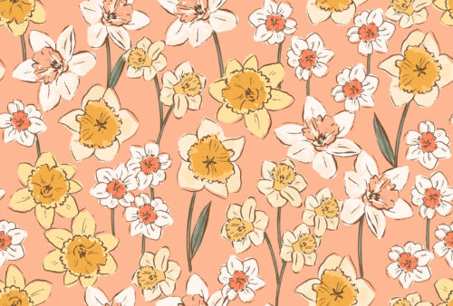 Indy Bloom Designs - Daffodil In Peach 8